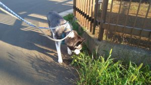 夜のお時間　2022/7/8