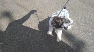 朝のお時間　2022/7/11