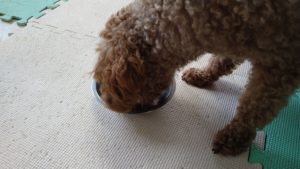 朝のお時間　2022/7/13