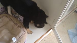 朝のお時間　2022/7/18