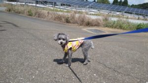 昼までのお時間　2022/7/24