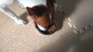 朝のお時間　2022/7/25