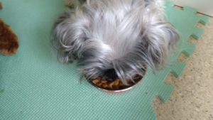 朝のお時間　2022/8/16