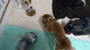 夜のお時間　2022/8/16