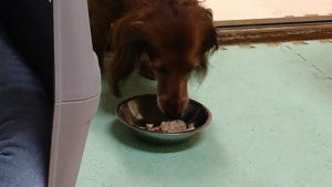 夜のお時間　2022/8/17