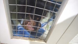 昼のお時間　2022/8/18