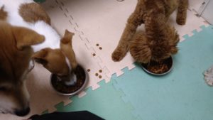 夜のお時間　2022/8/19