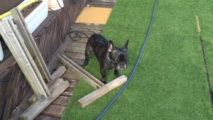 朝のお時間　2022/8/20