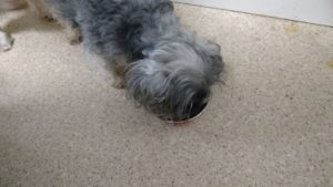 夜のお時間　2022/8/20