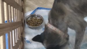 朝のお時間　2022/8/21