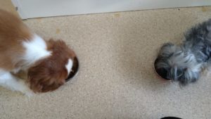 朝のお時間　2022/8/22