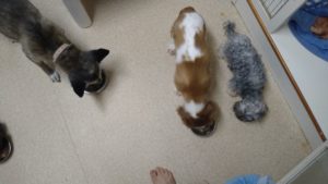 夜のお時間　2022/8/22