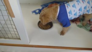 朝のお時間　2022/8/24