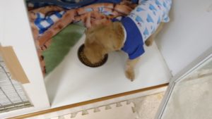 夜のお時間　2022/8/24