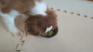 朝のお時間　2022/8/25