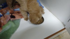 夜のお時間　2022/8/25