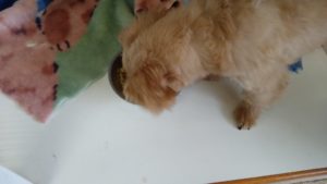 朝のお時間　2022/8/26