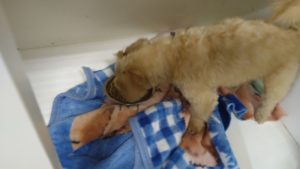 夜のお時間　2022/8/26