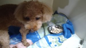 夜のお時間　2022/8/27