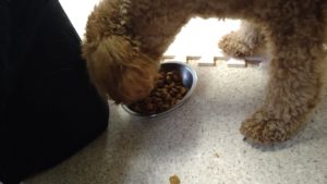 昼までのお時間　2022/8/28