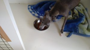 午前のお時間　2022/8/29