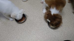 夜のお時間　2022/8/29