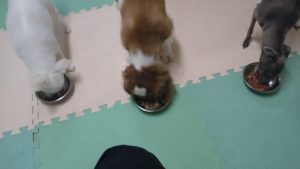 夜のお時間　2022/8/30