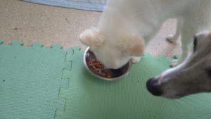 朝のお時間　2022/8/31