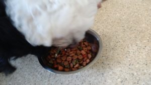 午前のお時間　2022/8/1