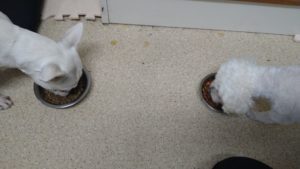 夜のお時間　2022/8/1