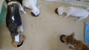 昼までのお時間　2022.8/2