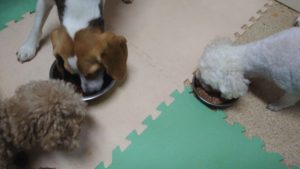 夜のお時間　2022/8/2