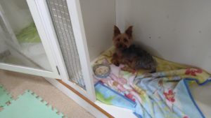 朝のお時間　2022/8/3