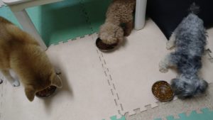 夜のお時間　2022/8/3