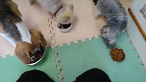 朝のお時間　2022/8/4