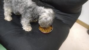 夜のお時間　2022/8/4