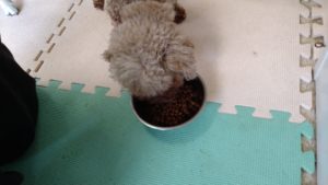 朝のお時間　2022/8/5