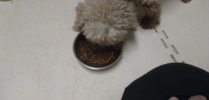 夜のお時間　2022/8/5