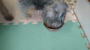 朝のお時間　2022/8/6