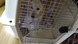 夜のお時間　2022/8/6