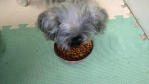 朝のお時間　2022/8/7