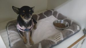 夜のお時間　2022/8/7