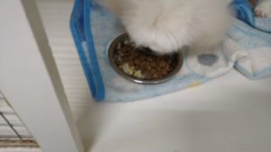 夜のお時間　2022/8/8