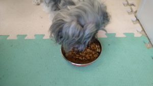 朝のお時間　2022/8/9