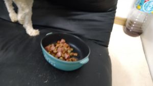 夜のお時間　2022/8/9