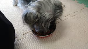 朝のお時間　2022/8/10