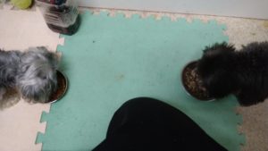 夜のお時間　2022/8/10