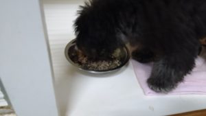 夜のお時間　2022/8/11