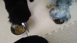 朝のお時間　2022/8/12