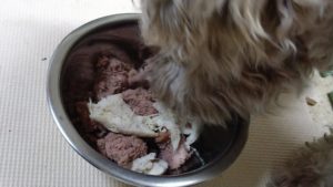 夜のお時間　2022/8/13